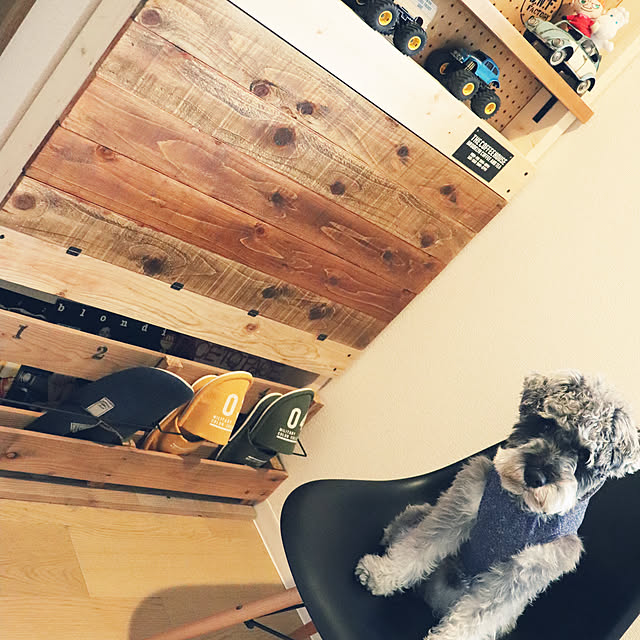 Daichiさんの実例写真