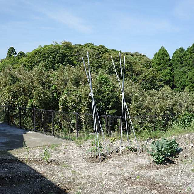 ______tnoieさんの実例写真