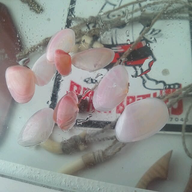 ceitaloさんの実例写真