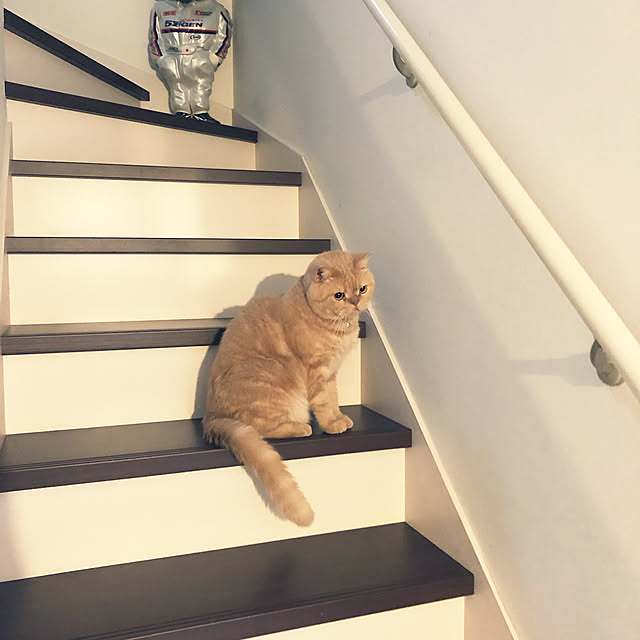 cocoさんの実例写真