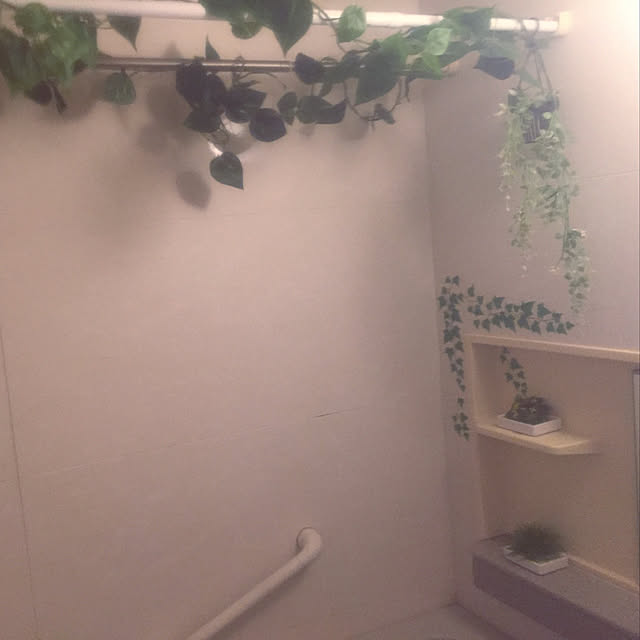 kiraragomaさんの実例写真