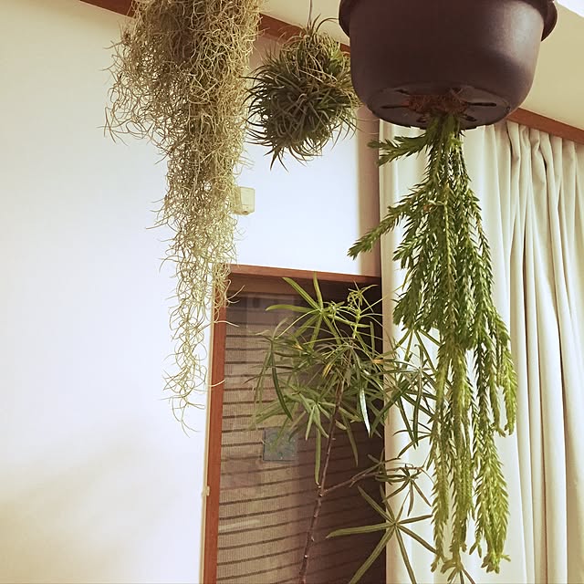 samyyy-888さんの実例写真