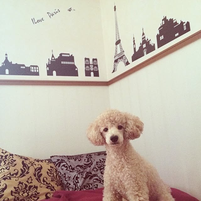 maiROOMさんの実例写真