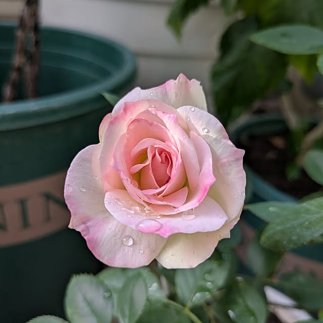 wumag418さんの部屋