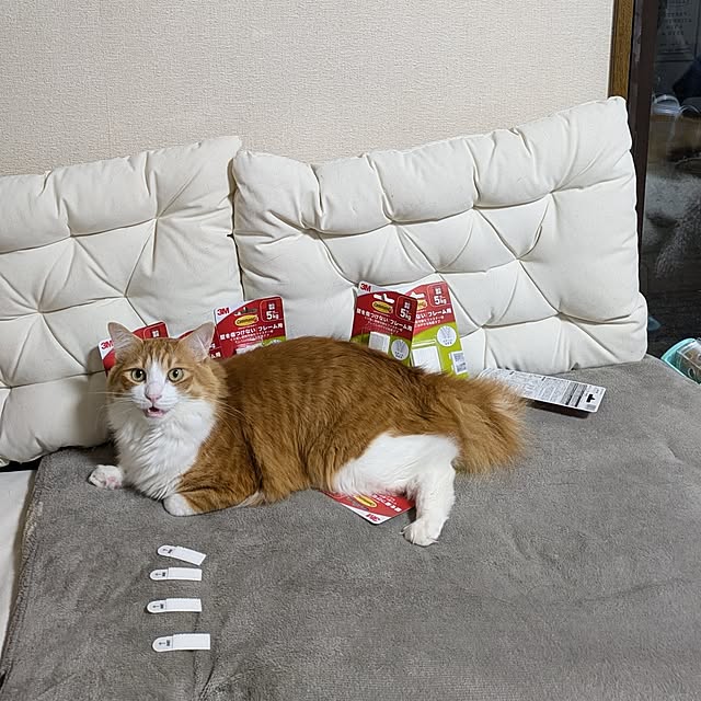 mori_6_12さんの部屋