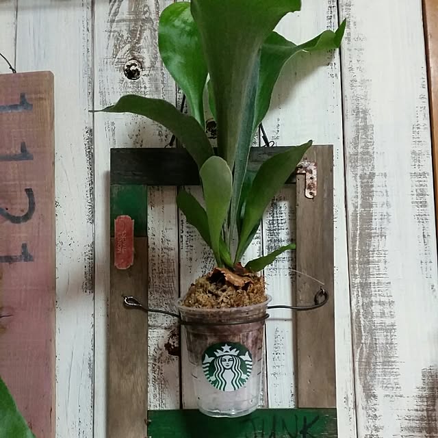 asuさんの実例写真