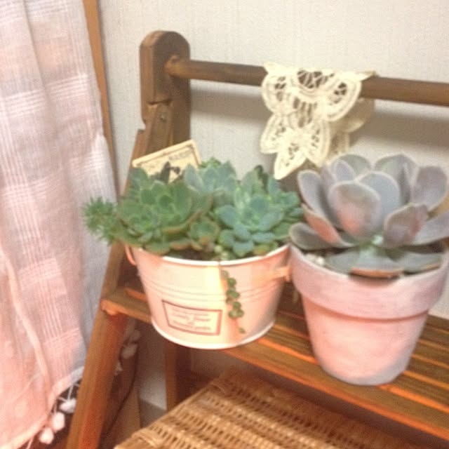Haruさんの実例写真