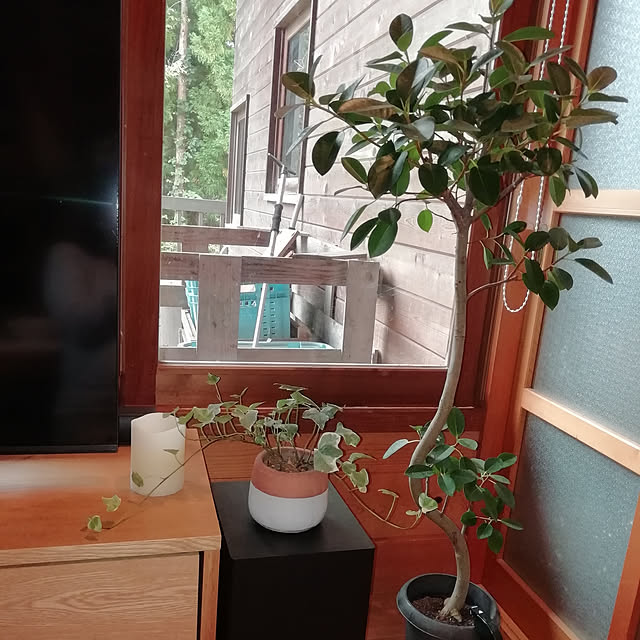 kinoさんの実例写真