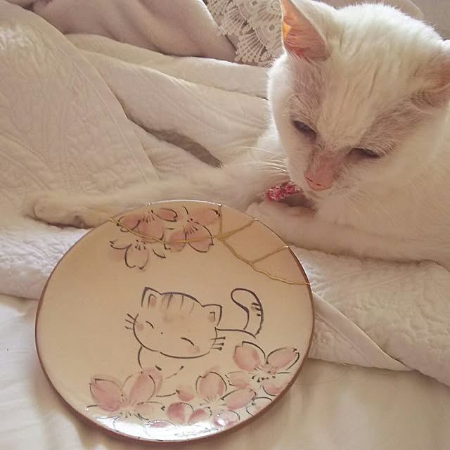 sakuraさんの実例写真