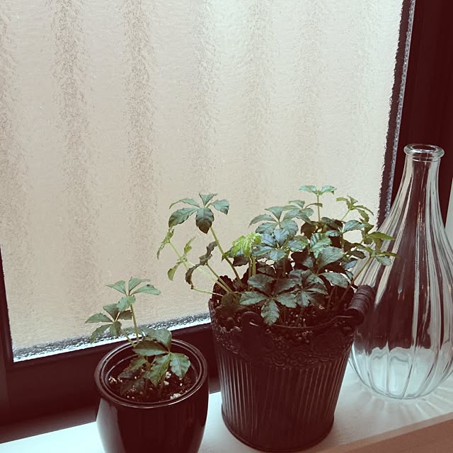 nanamomoさんの実例写真