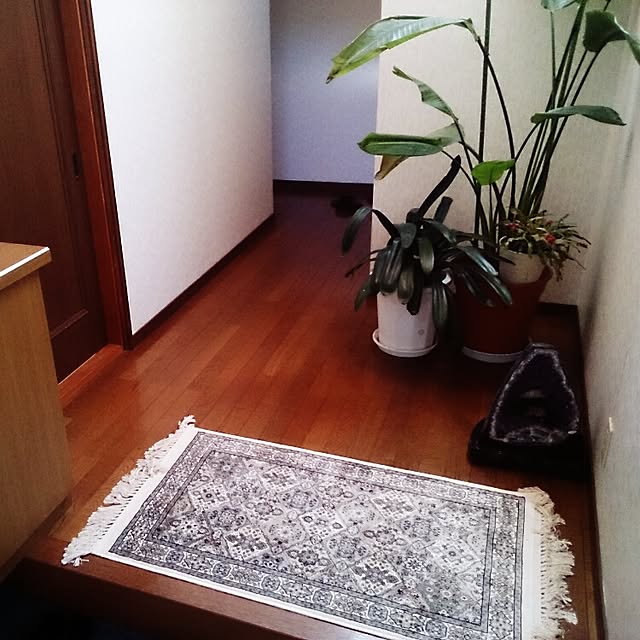 shigeponさんの実例写真
