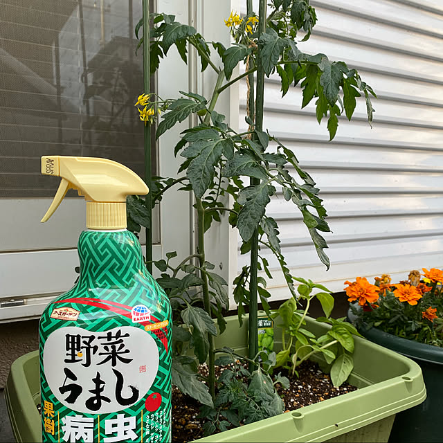 maronさんの実例写真