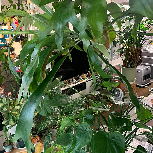 Aqettyさんの部屋