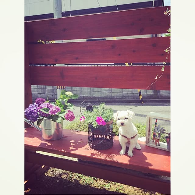 yumiさんの実例写真