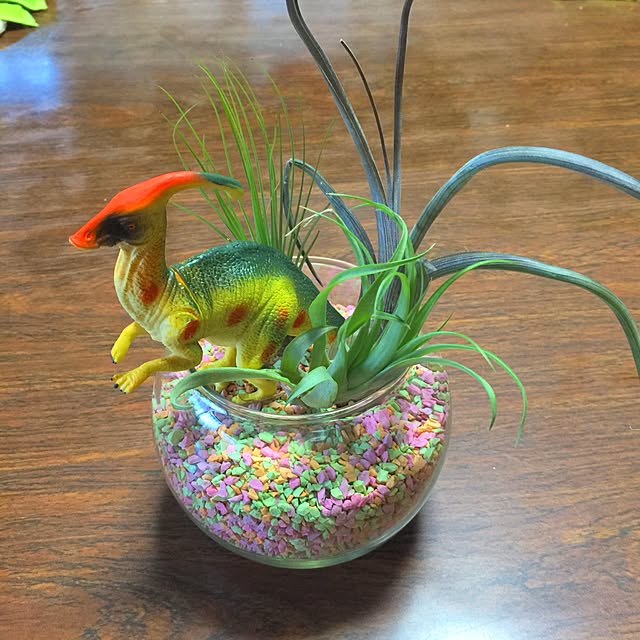 tarohagiharaさんの実例写真