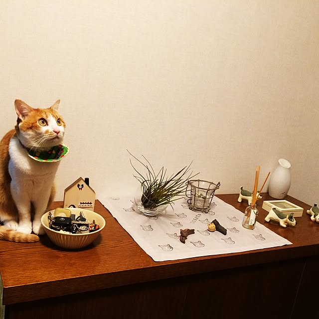 kinakuroさんの実例写真