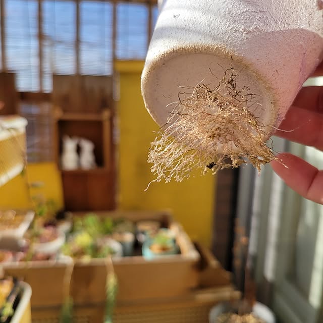 akimameさんの部屋