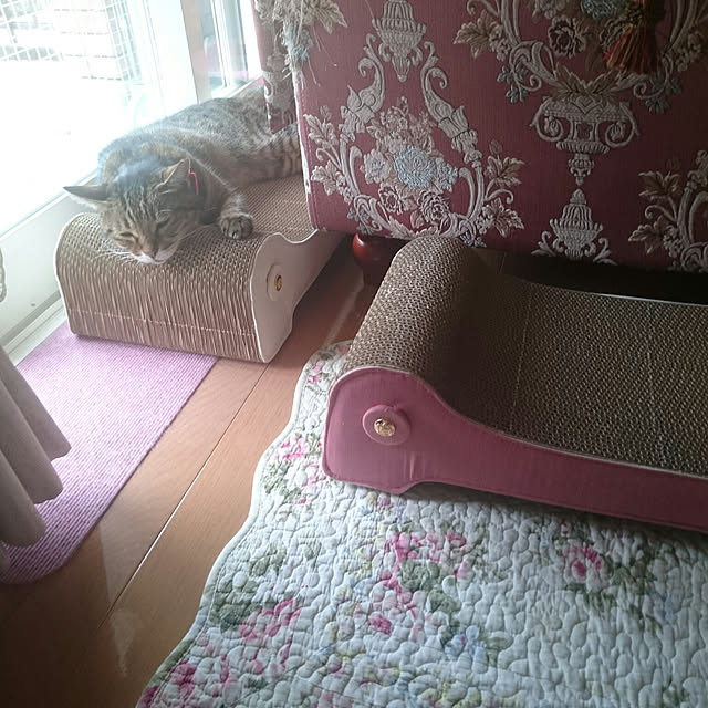 lilyさんの実例写真