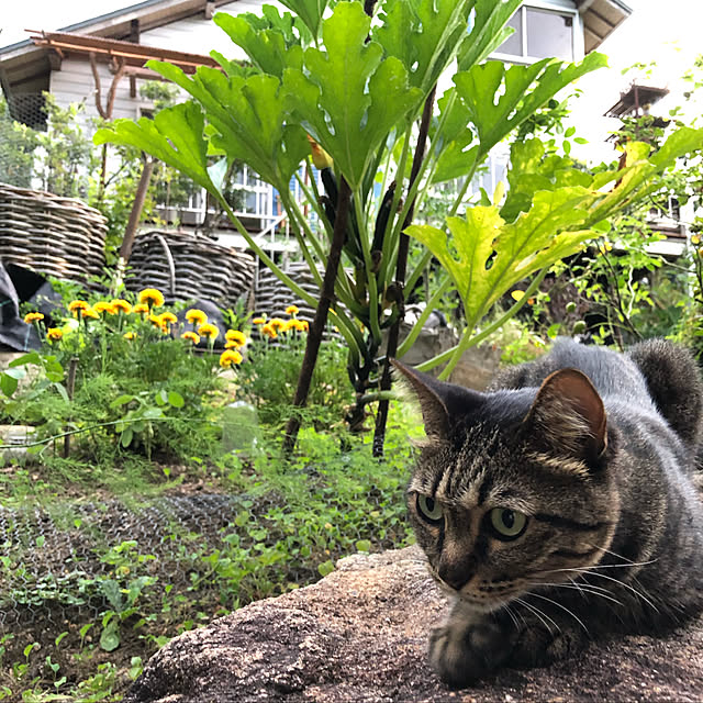 weさんの実例写真