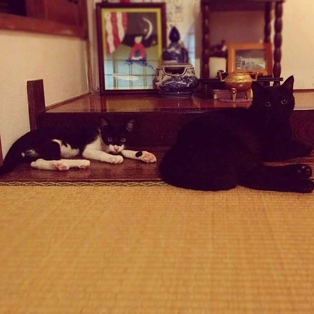 UGOさんの実例写真