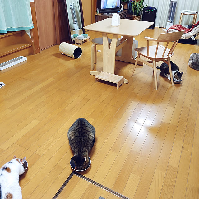 nachiさんの実例写真