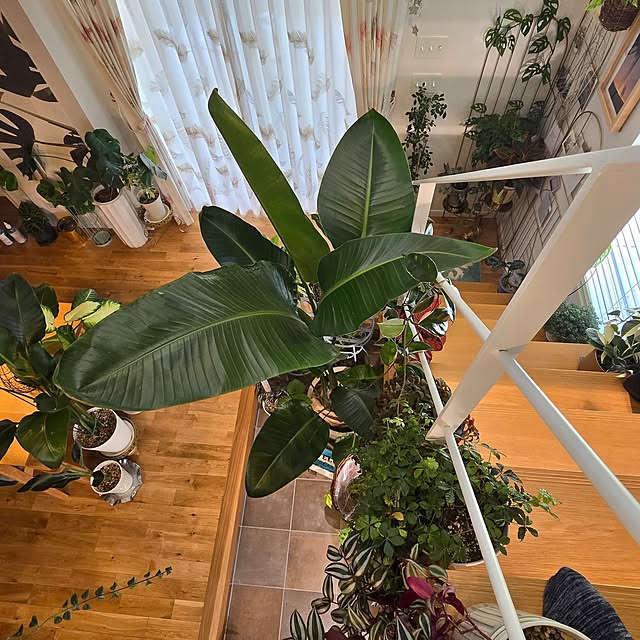 nonbiri_house_さんの部屋