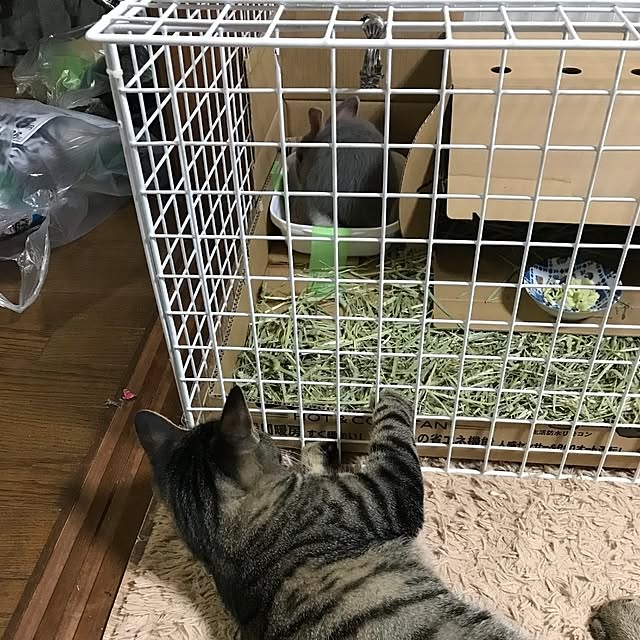 mori_6_12さんの部屋
