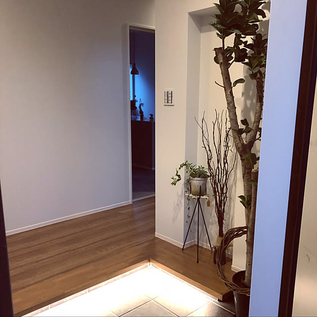 玄関/入り口のインテリア実例 - 2019-09-16 07:31:49