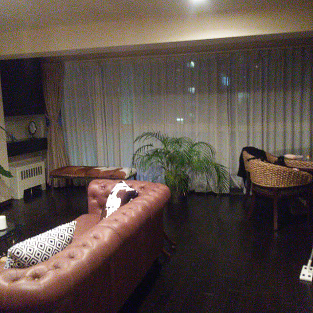 部屋全体のインテリア実例 - 2017-11-13 18:31:09