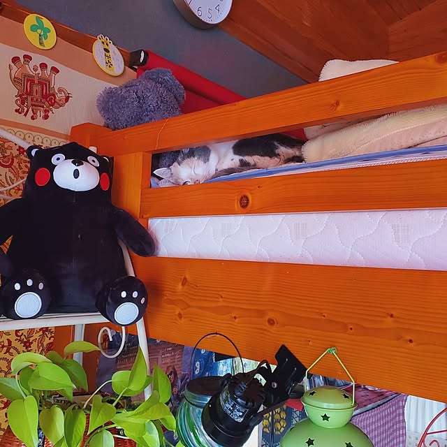 kumutanさんの部屋