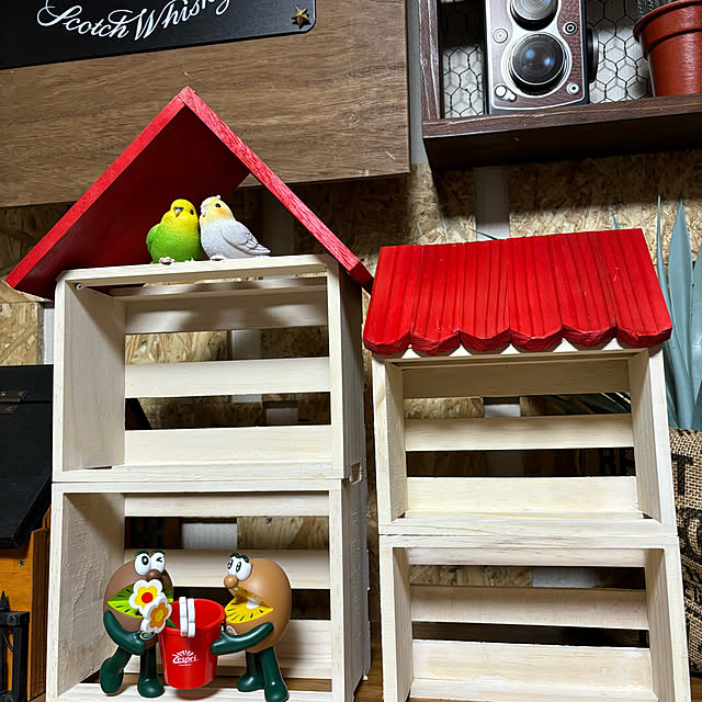 momocchiさんの部屋