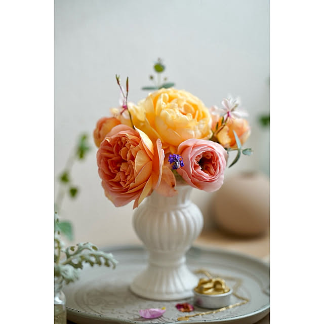 haruisabelさんの部屋