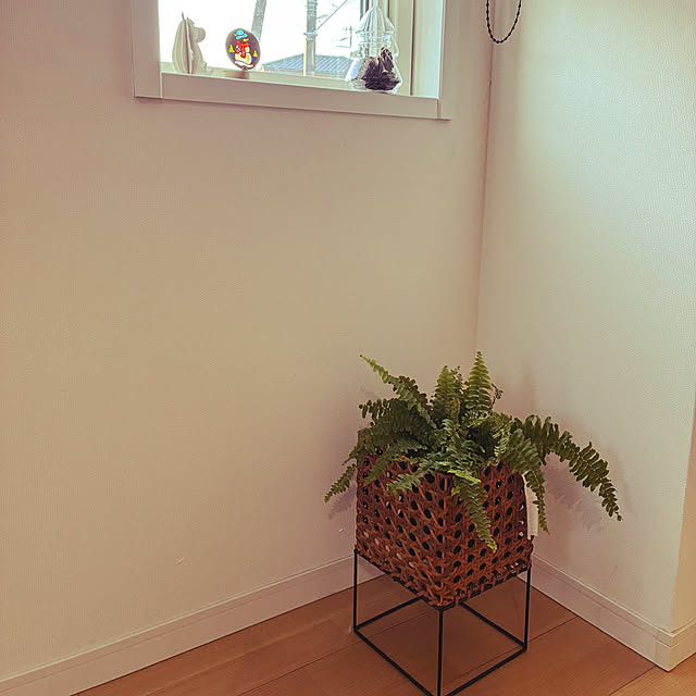 dmamaさんの部屋