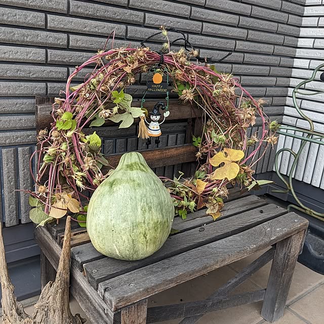 chiz3さんの部屋