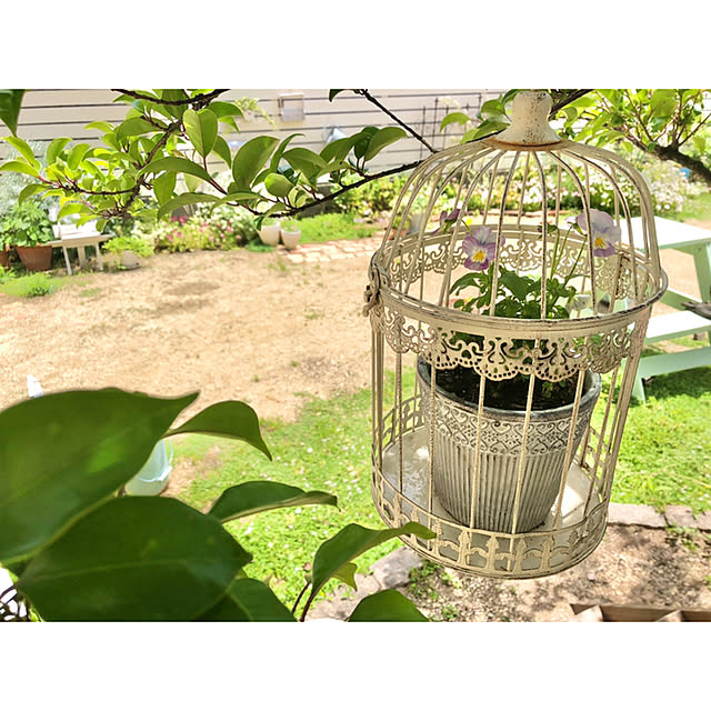 ponさんの実例写真