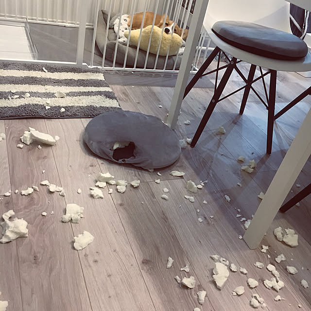 3ayuさんの実例写真