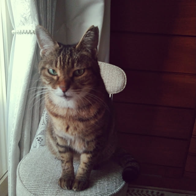 lilyさんの実例写真