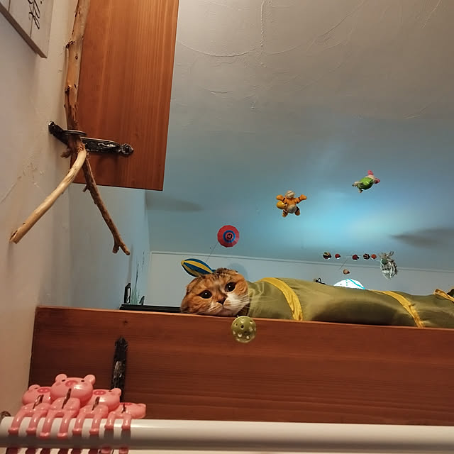 hiro3さんの実例写真
