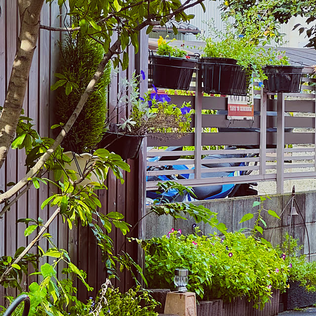 chacoさんの部屋