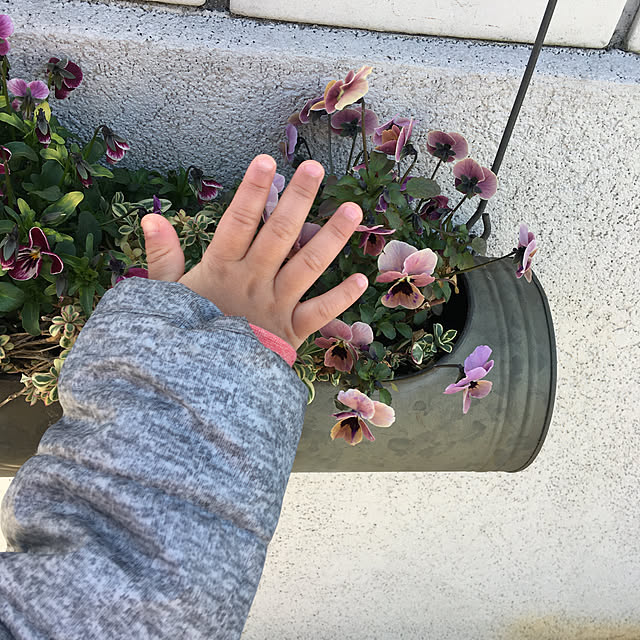 yukieさんの実例写真