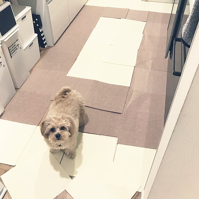 ikt.tamaさんの実例写真
