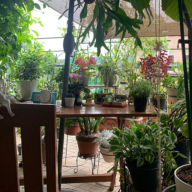 Aqettyさんの部屋