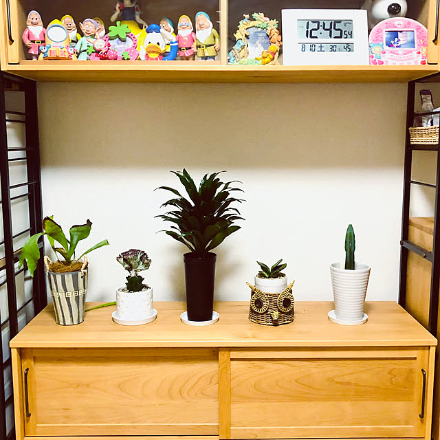 hanachanさんの部屋