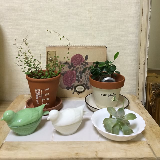 miyuさんの実例写真