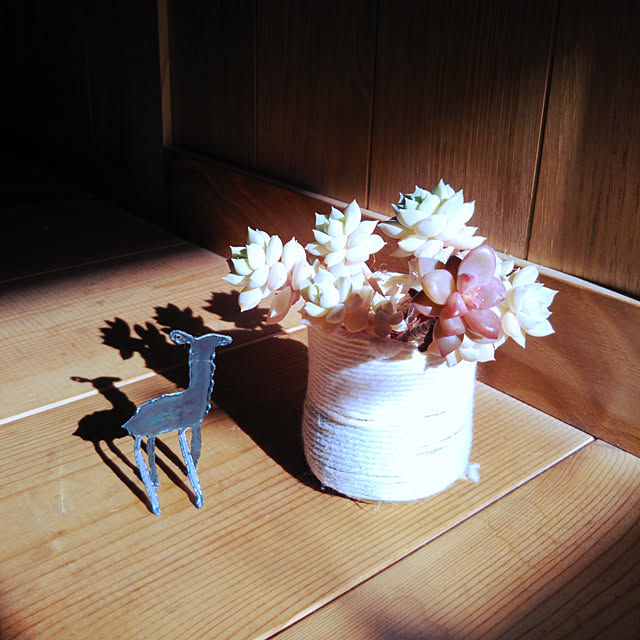 t.yumiさんの実例写真