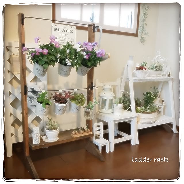 figaroさんの実例写真