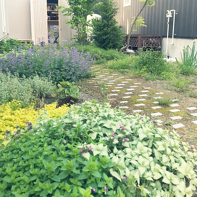 部屋全体のインテリア実例 - 2019-06-09 05:23:21