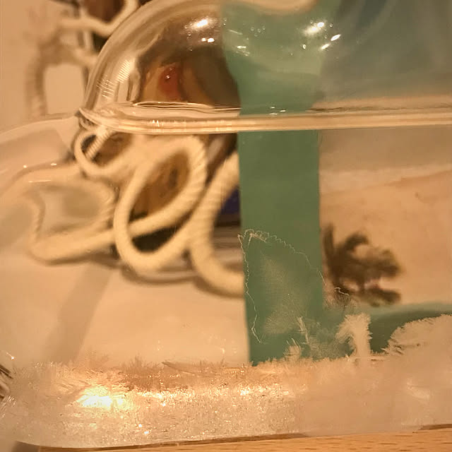 riiさんの実例写真