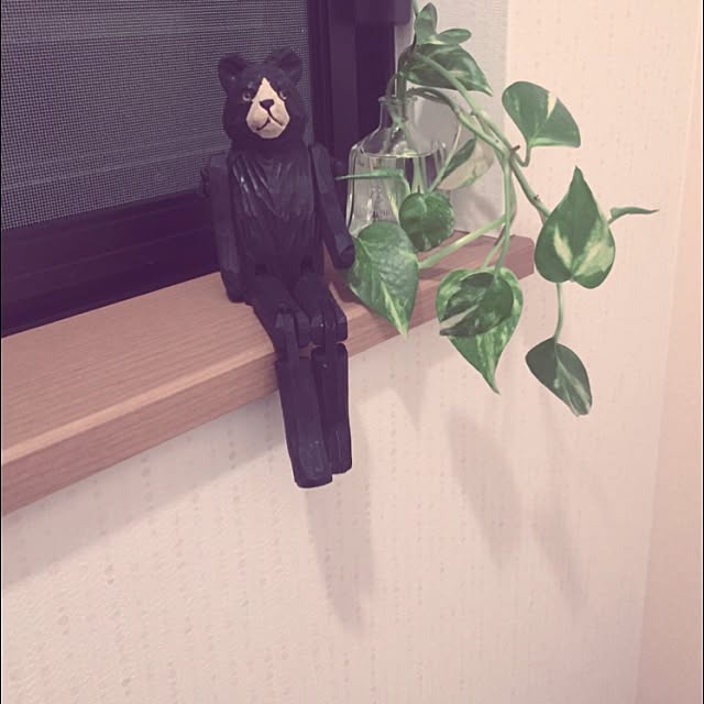 maaさんの実例写真