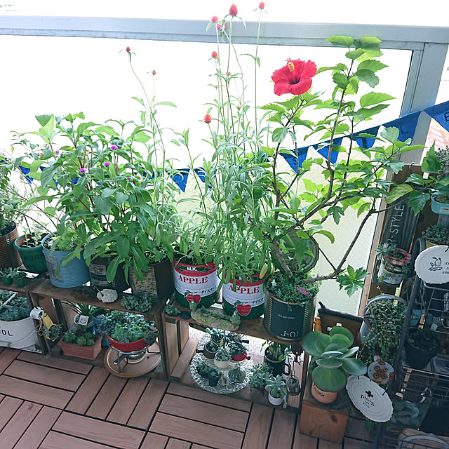 sakusakuさんの実例写真
